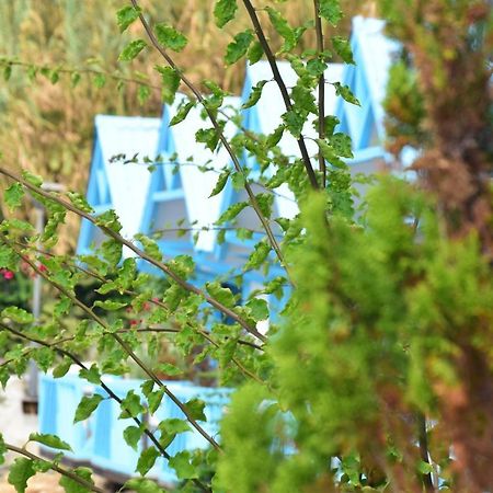 Cflow Beach Resort Byblos Buitenkant foto