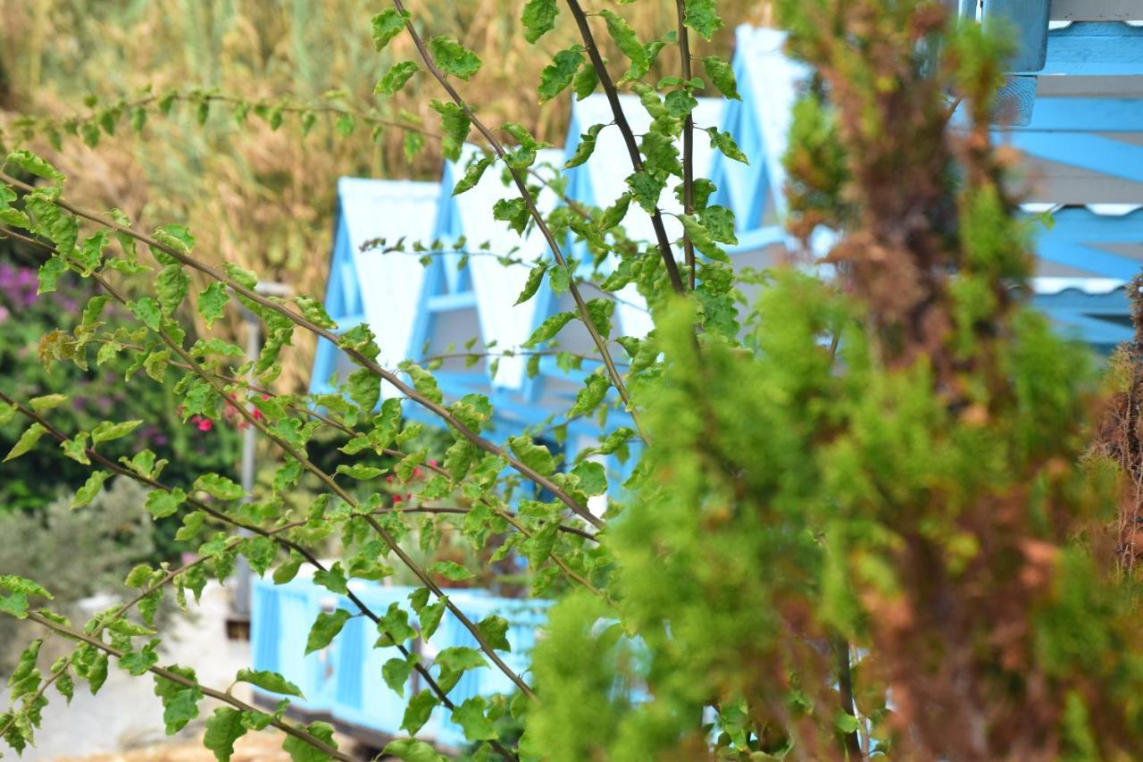 Cflow Beach Resort Byblos Buitenkant foto